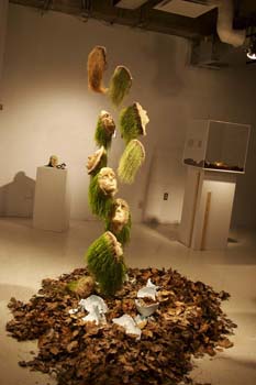 03appoloinstallationweb