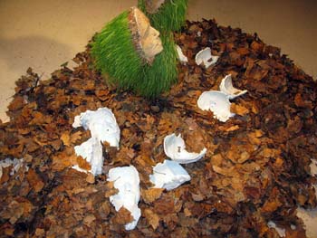 04appoloinstallation