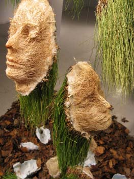 07appoloinstallationweb