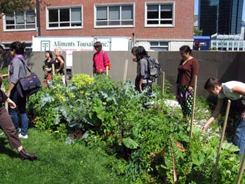 08 jardin biologique#2CC41C