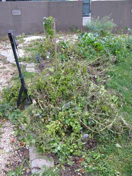 09 jardin biologique#2CC41F