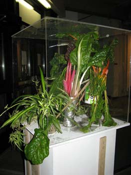 14 show case september 2009