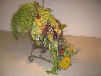 17 show case december 2009