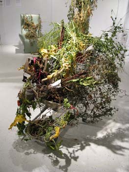 19 show case december 2009